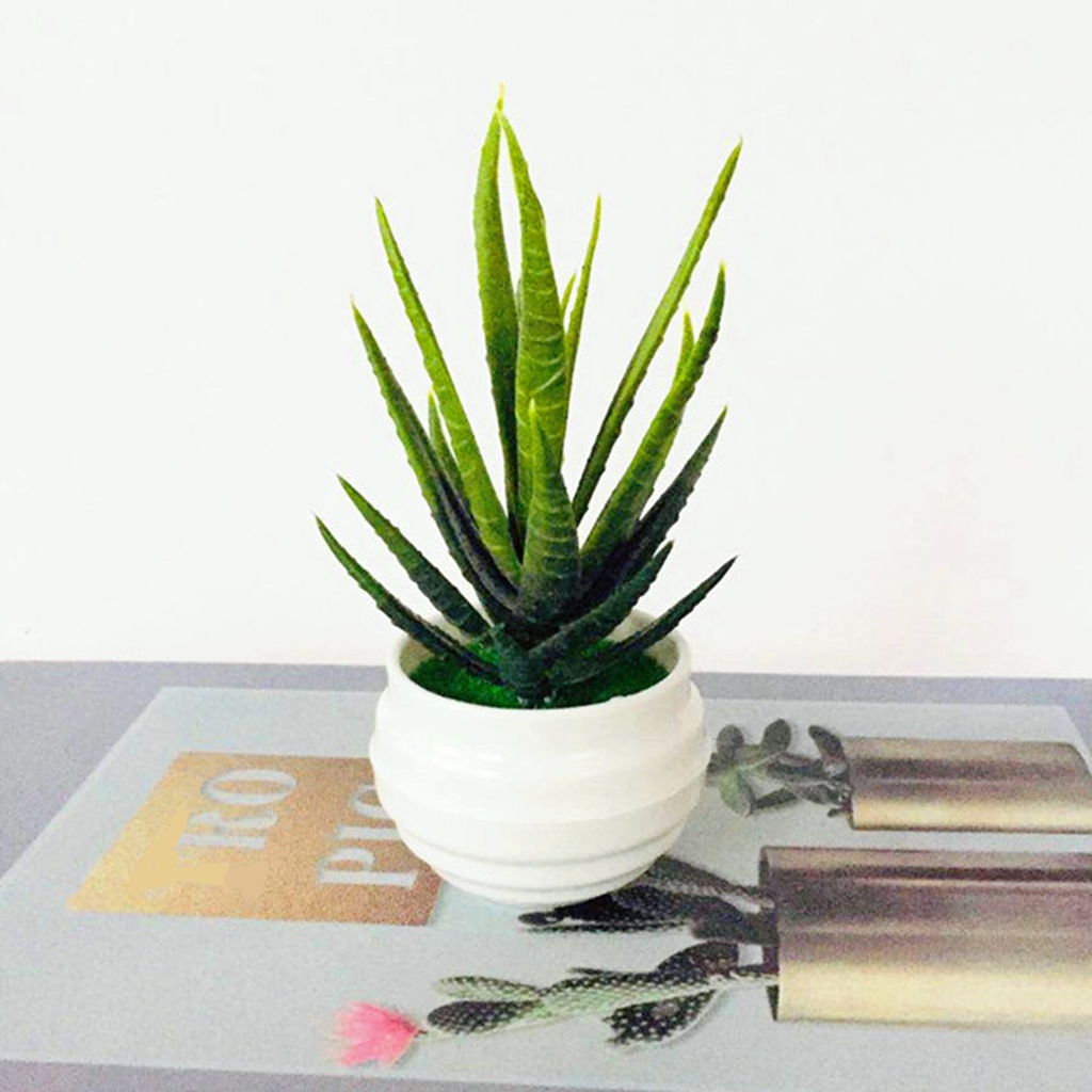 Chậu Cây Bonsai Giả Làm Bằng Nhựa Dùng Trang Trí Nhà Cửa