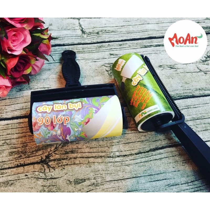 Cây Lăn Lông, Bụi 90 lớp