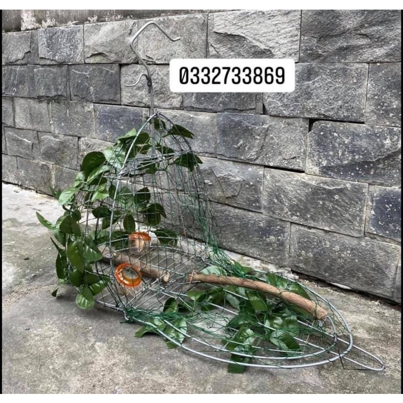 Lồng bẫy cu gáy rẻ nhất thị trường ( lụp cu) tặng cóng + lá
