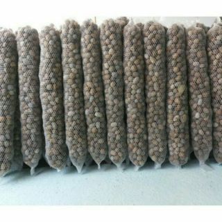 10 đoạn phân dê bón lan dài 15cm
