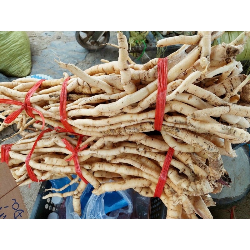 Sâm Xuyên Đá 1Kg
