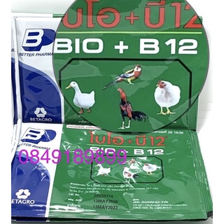 Úm gà đá bio b12