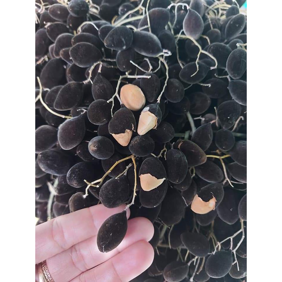 Say nhung rừng 500gr Nhii Food đồ ăn vặt chua chua ngọt ngọt | BigBuy360 - bigbuy360.vn