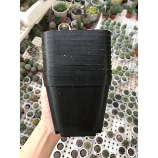 SET 10 chậu nhựa vuông size 10x10 cm màu đen trồng sen đá, xương rồng