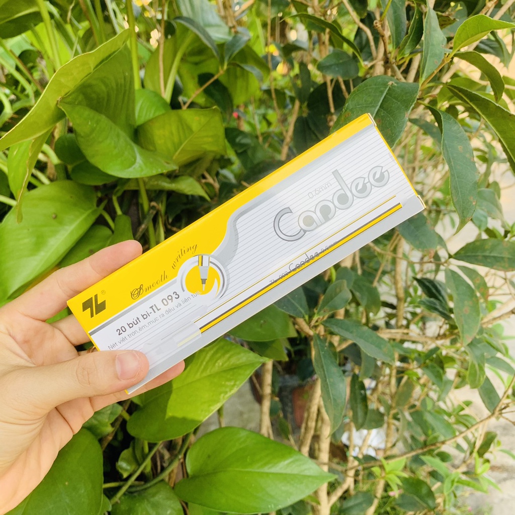 Hộp 20 cây Bút Bi Thiên Long TL-093