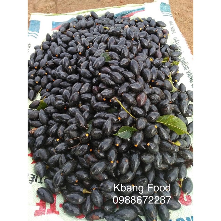 Trám đen đặc sản núi rừng 1000gr/trám om sẵn nguyên hạt hút chân không