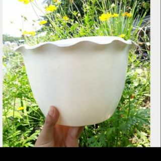 Combo 10 chậu ốp tường hình bán nguyệt 25cm x14cm x15cm giá khuyến mãi