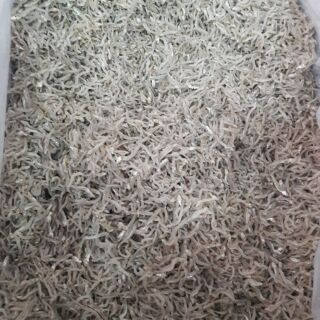 500g Cá cơm nờm sữa khô.
