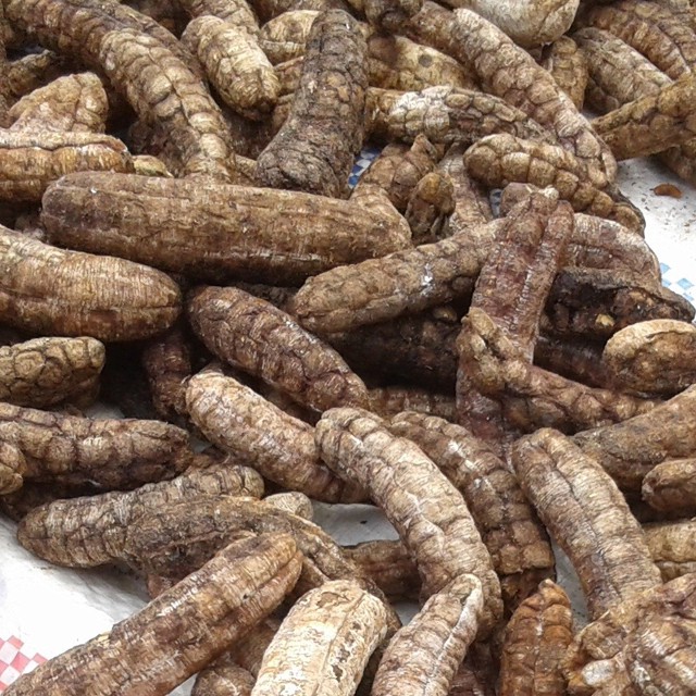 Chuối hột rừng nguyên quả sấy khô 1kg