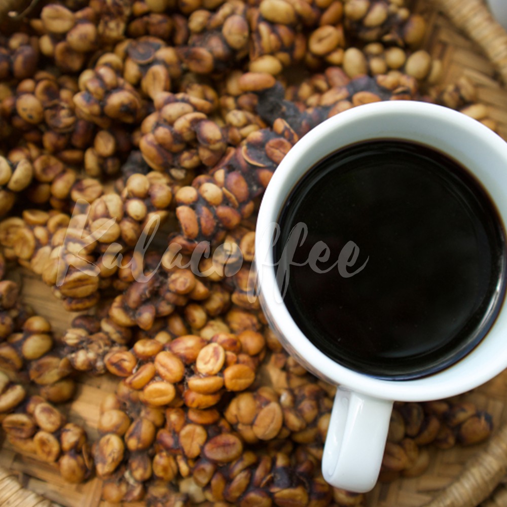 Cà phê Chồn nguyên chất 100% pha phin đặc biệt Kalacoffee thanh dịu, thơm mạnh, dành cho người sành uống 100g