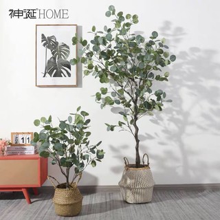 Cây bạch đàn 165cm - cây giả decor