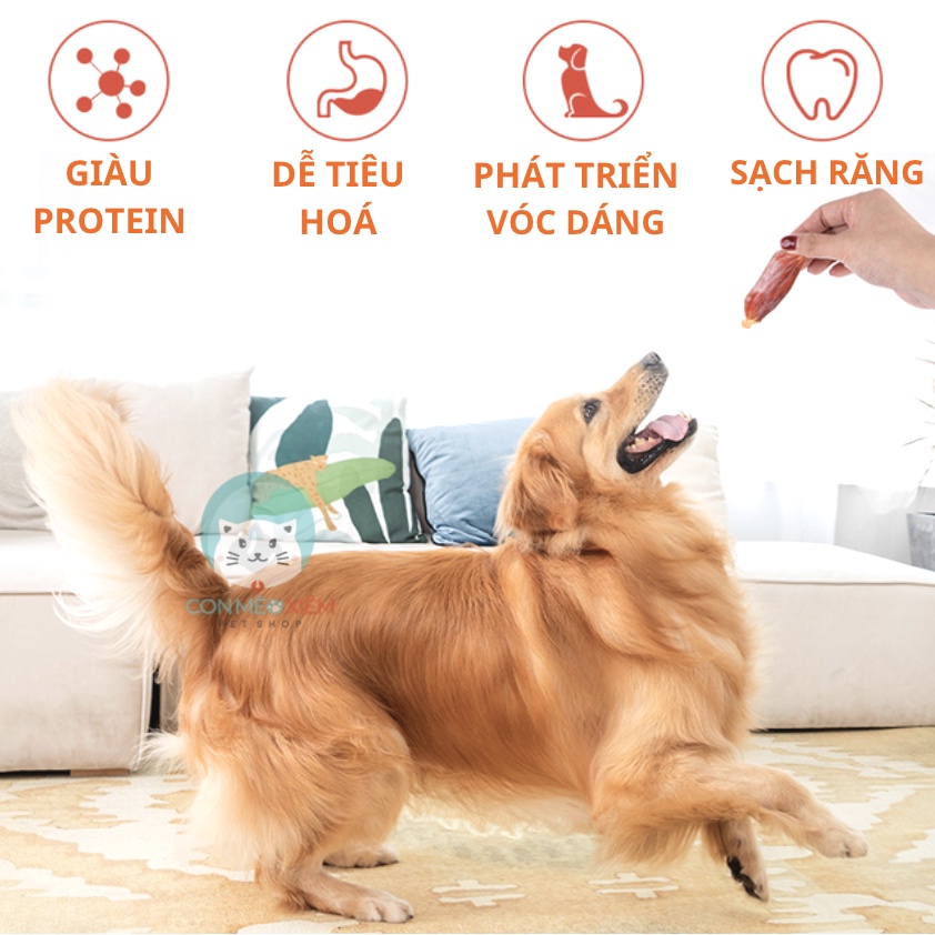 Que gặm cho chó cuộn thịt gà The pet hộp 500g, snack cún sạch răng, thơm miệng Con Mèo Xiêm