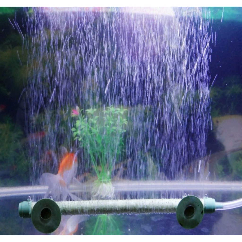 Thanh sủi mịn cho bể cá bể thủy sinh màu ngẫu nhiên- Sủi thanh tạo oxi cho hồ cá