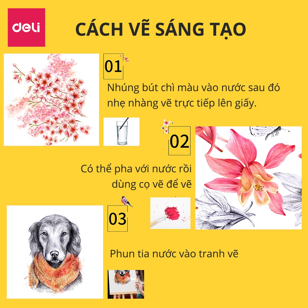 Bút chì màu nước cao cấp Deli 24 - 36 - 48 màu/ hộp kèm bút lông - 6518/6519/6520 .