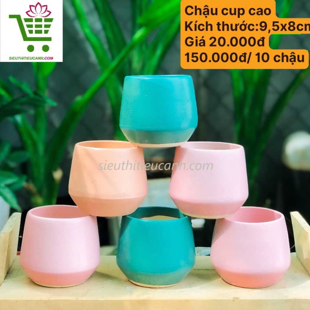 10 Chậu Sứ Cao Cấp Trồng Sen Đá, Tiểu Cảnh, Decor