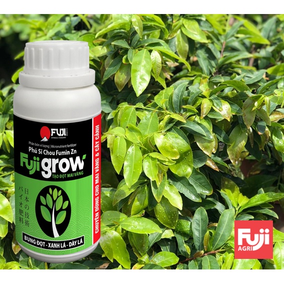 Phân bón mai vàng bung đọt FUJI GROW Japan 250ml