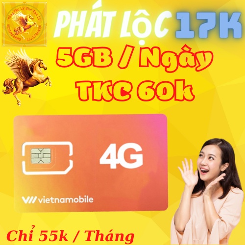 Sim VNMB 5GB/ Ngày Phát lộc, có 150GB Tốc Độ Cao/ tháng - Tài Khoản Chính 60.000đ, Gọi Liên Mạng, Gọi Nội Mạng Free