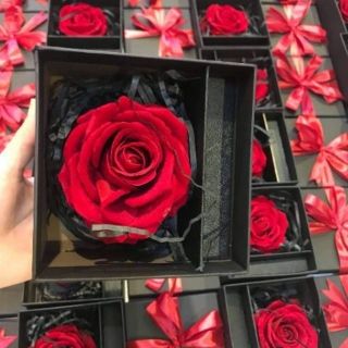 combo sỉ - 10h son hoa sáp đựng son cao cấp