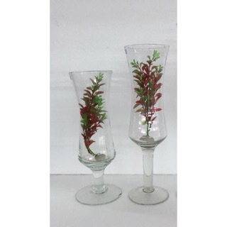 Bình thủy tinh cắm hoa có chân cao 30cm( hình thật kế bên)