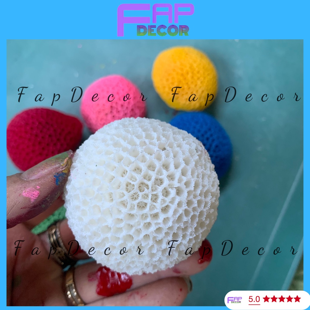 SAN HÔ BÁNH BAO PHONG THỦY PHỐI NHIỀU MÀU SIÊU ĐẸP TRANG TRÍ BỂ CÁ TIỂU CẢNH THỦY SINH - FAPDECOR