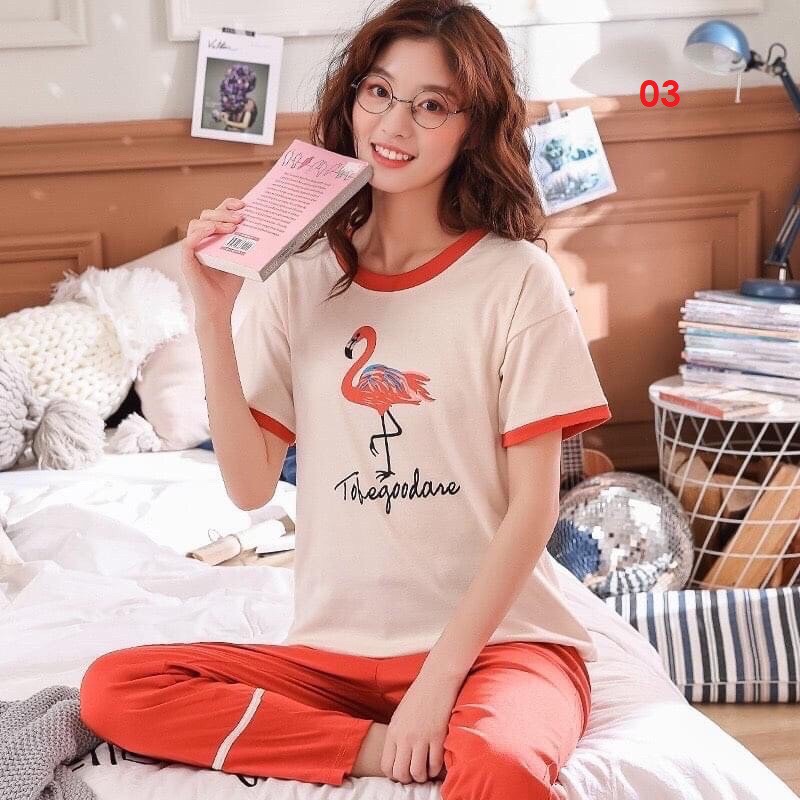 {Mã giảm giá + Hổ trợ Ship } Đồ bộ nữ, thun Cotton 100% cực mát, đủ size, 42-70kg