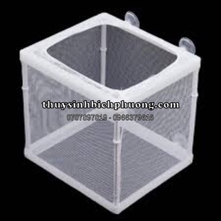LỒNG DƯỠNG CÁ BOYU