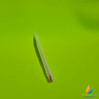Nhiệt kế thủy ngân, khoảng đo 0 – 100 độ C