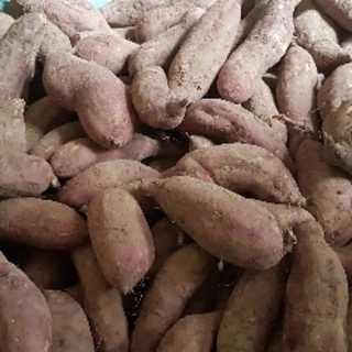 khoai lang nhật 1kg