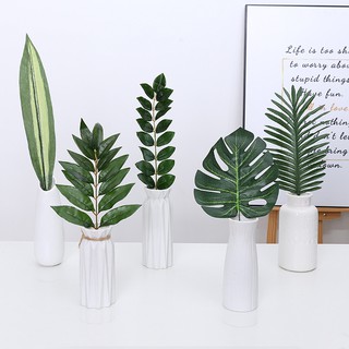 Lá Cây Phụ Kiện Chụp Ảnh Sản Phẩm
