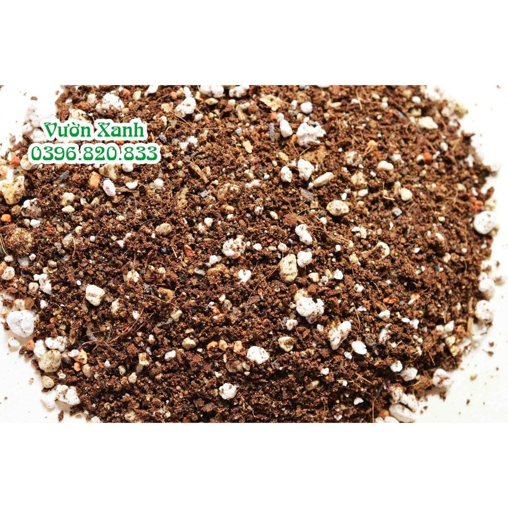 Đá Vermiculite nâu trồng cây cảnh gói 8dm3