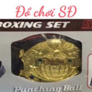 ĐAI ĐÔ VẬT MỸ - BOXING