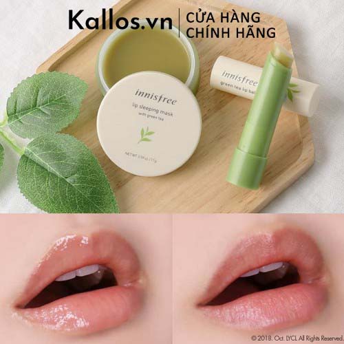 [TEM CHÍNH HÃNG] Mặt Nạ Môi Innisfree Lip Sleeping Mask Green Tea, Canola