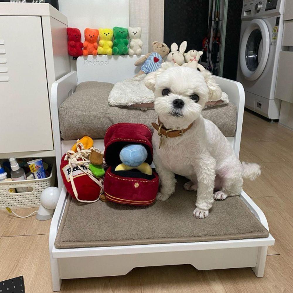 LET Đồ chơi nhồi bông Mềm Mại Có Âm Thanh Cho Thú Cưng