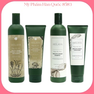 Cặp dầu gội gừng hà thủ ô 400ml + dầu xả gừng hà thủ ô 250ml kích mọc tóc weilaiya zingiber officinale juice