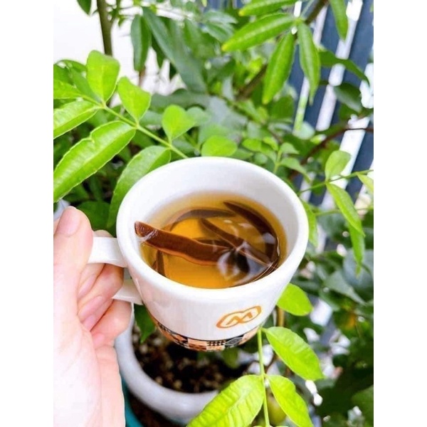 Nấm Linh Chi Thái Lát Túi UHAK Hàn Quốc [ nấm linh chi thái lát 1kg ]