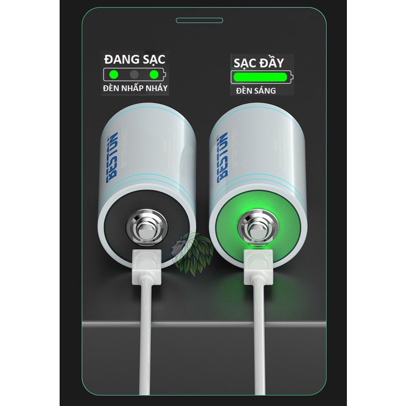 Pin đại D Beston chuẩn 1.5V 6000mWh sạc lại cổng sạc USB Type C dùng cho đèn pin, bếp ga, thiết bị công nghiệp