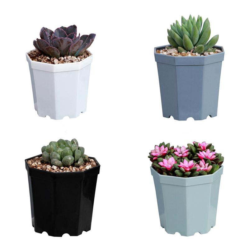 Chậu Hoa Mini Hình Bát Giác Bằng Nhựa Nhiều Màu Sắc Dùng Trang Trí