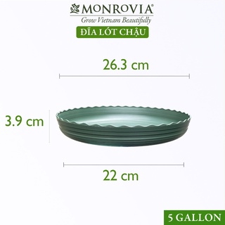 Đĩa lót chậu nhựa trồng cây MONROVIA để bàn, treo ban công, treo tường, thiết kế tinh tế, tiêu chuẩn Châu Âu thumbnail