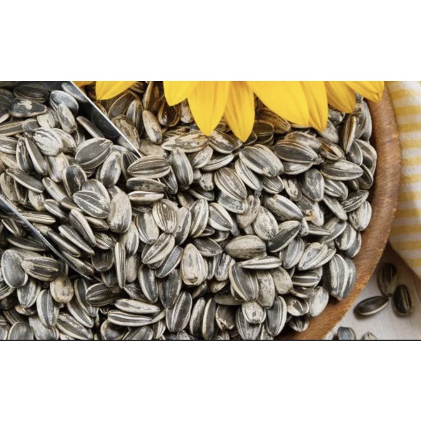 Hạt hướng dương loại ngon 1kg
