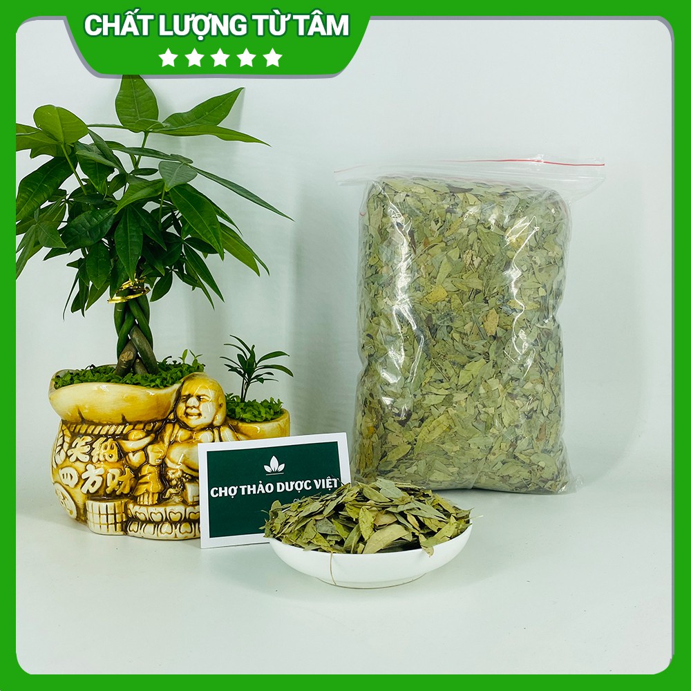 Phan tả diệp 1kg ( Lá phan tả diệp khô, thơm hỗ trợ nhuận tràng, giữ gìn vóc dáng) - Chợ Thảo Dược Việt