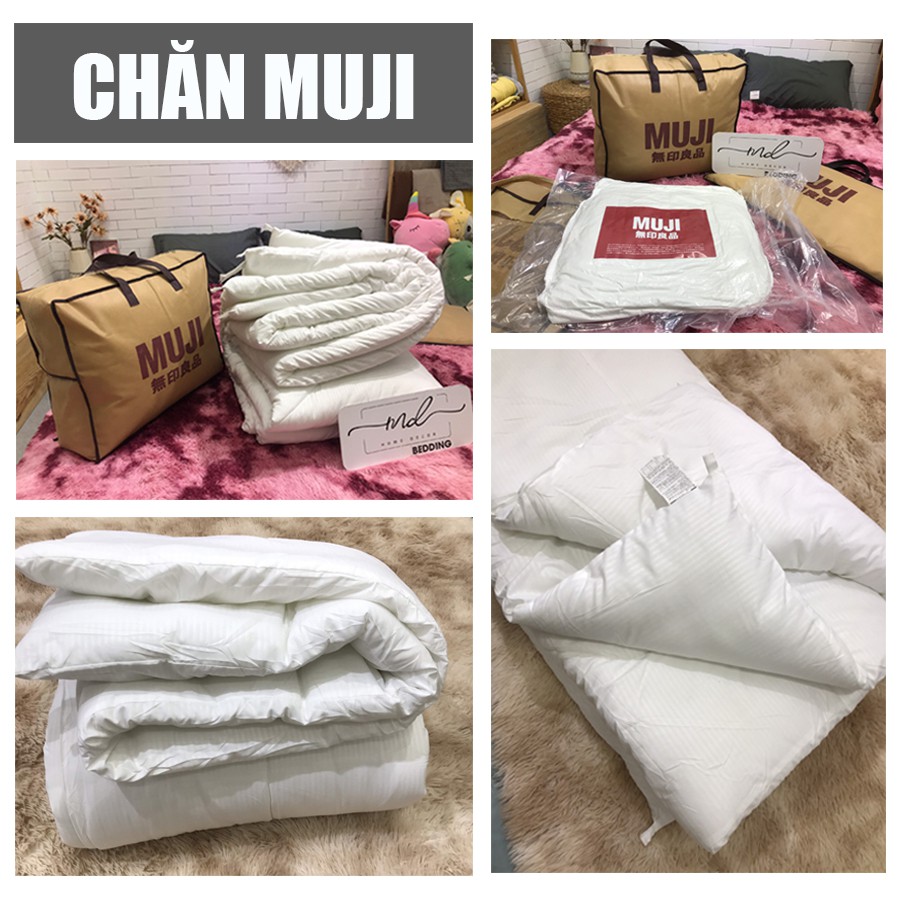 Ruột chăn Muji cao cấp xuất khẩu, Ruột chăn bông MD.Decor - Chăn ga gối có túi đựng phong cách