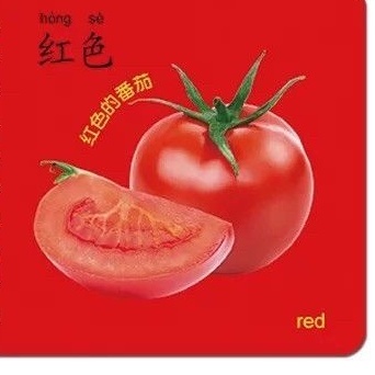 Flashcard học tiếng Trung siêu xinh, thẻ học từ vựng tiếng Trung nhiều chủ đề thông dụng trong cuộc sống