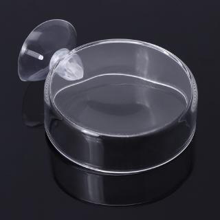 Khay thủy tinh đựng thức ăn dành cho cá cảnh