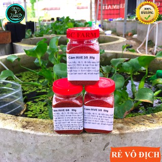 Cám Inve 3/5 🍼 Thức ăn cho cá mới lớn 🍼