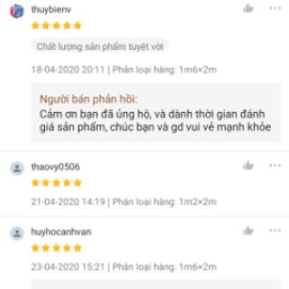 Nệm cao su non Thắng Lợi (Ko quà)