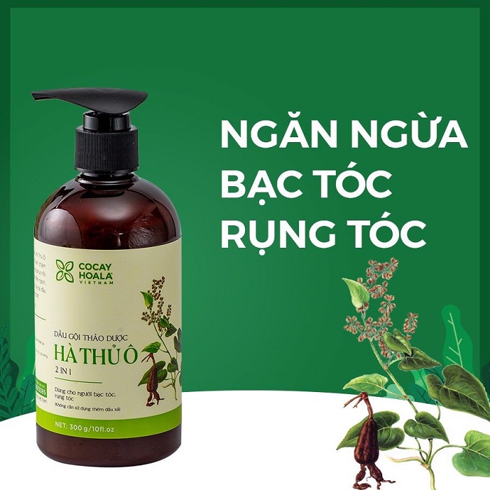 DẦU GỘI THẢO DƯỢC HÀ THỦ Ô