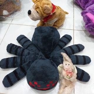 Gấu bông gia My