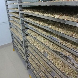 Trà Hoa Quả Mật Mía - Baonhu_Handmade