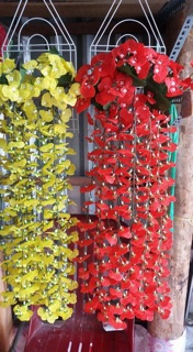 Hoa lan vũ nữ treo tường