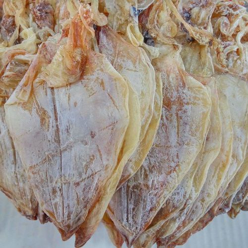 Mực khô 10 con khô mực ngon y hình